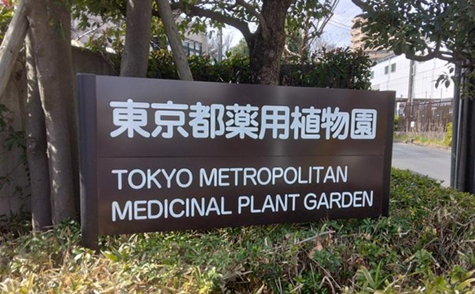 「野草採りのシーズン到来！」 毒草の勉強をして荒川河川敷でセリとクレソンを採取成功