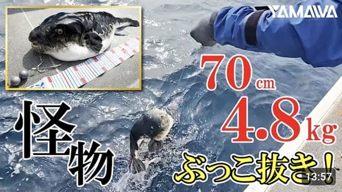 小魚釣りの相棒？　和竿意匠の＜チャビング専用パックロッド＞発売へ【今週の釣りニュース5選】