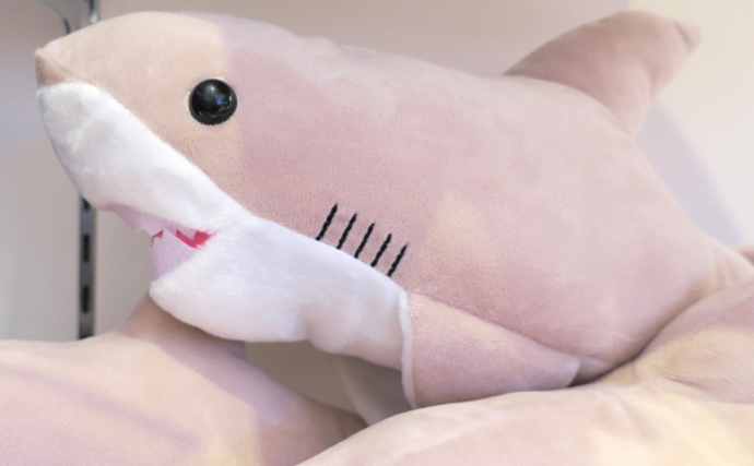 「怖い？可愛い？それとも美味しい？」 人によって変わるサメのイメージ