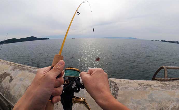 海釣り初心者にオススメは「サビキ＆ちょい投げ釣り」 必要な道具と購入時の注意点を解説