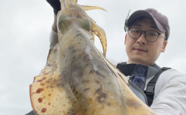 「春イカが猛チェイス！」地磯エギングでキロ超えアオリイカが足元でヒット…