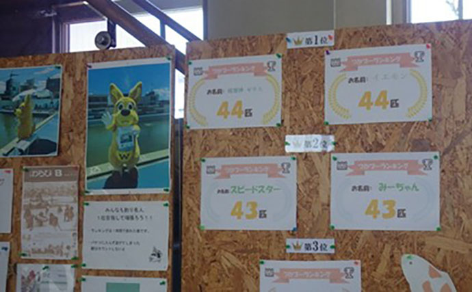 日本一小さい「蕨」市の唯一の釣り堀『つかプーフィッシング』で鯉とニジマス釣りを堪能