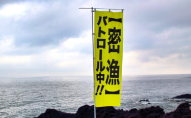 「春は一般人の密猟が増える季節？」　貝や海藻に採取にはくれぐれもご注意…