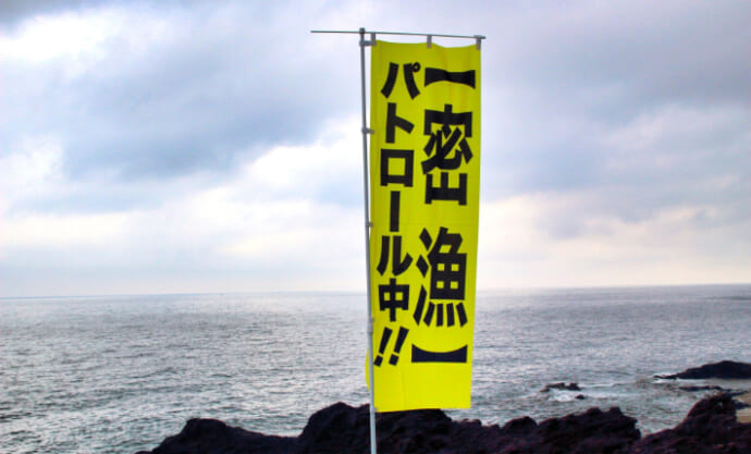 「春は一般人の密猟が増える季節？」　貝や海藻に採取にはくれぐれもご注意を！