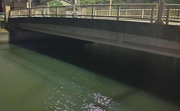 ガソリン価格急騰で釣り人のサイフと釣果も大ピンチ！ 今すぐ出来る対策3選とは？