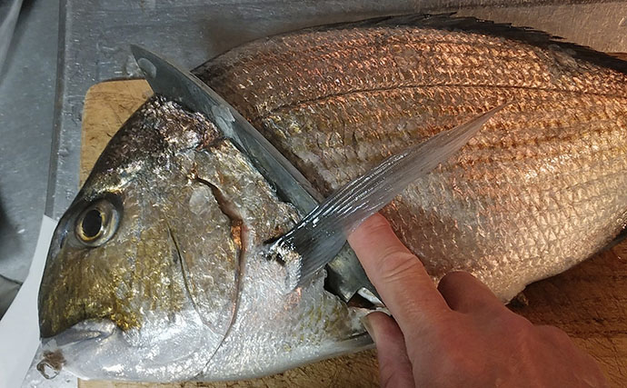 釣魚で作る「焼き物」レシピ：ヘダイの漬け焼き　優しい出汁がポイント