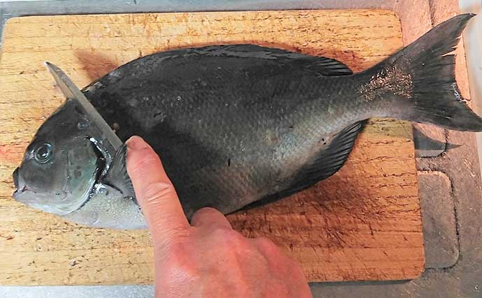 釣魚で作る「本格フレンチ風」レシピ：オナガのムニエル　マヨネーズがポイント