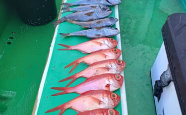 相模湾の深場釣りでキンメにクロムツが続々！【秀吉丸】当たりだった誘いは…