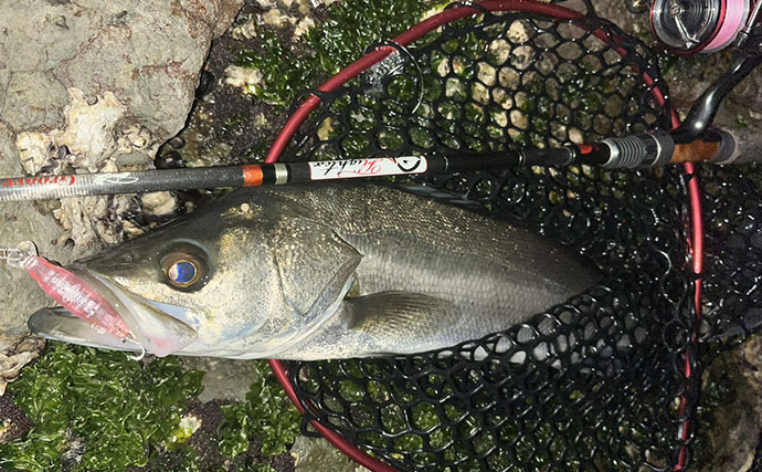 磯メバリングの実績抜群プラグルアー3選　ライトゲーム初心者にもオススメ！