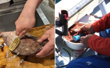 「釣りの頑固な汚れと臭い諦めてない？」遊漁船でアルカリ電解水を使ってみたら衝撃の結果に