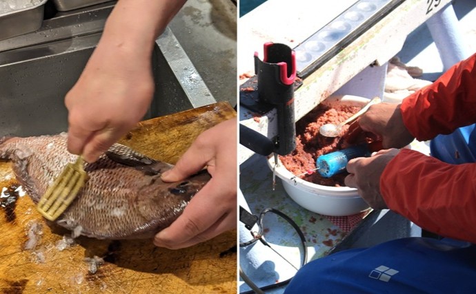 「釣りの頑固な汚れと臭い諦めてない？」遊漁船でアルカリ電解水を使ってみたら衝撃の結果に