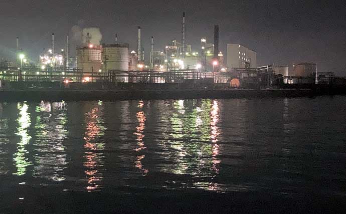 運河エリアでのプラッギングで「年無し」クロダイをキャッチ！【三重】