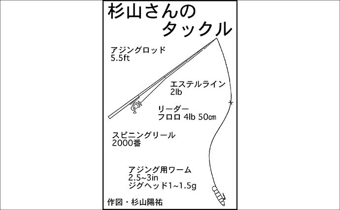 アジングタックルでシーバス20匹【四日市港・三重】セイゴサイズ中心に連続ヒット