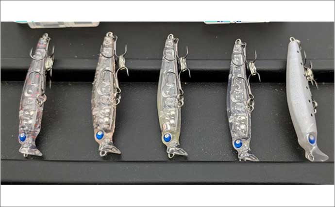 「陸っぱりメバリングで28cmメバル出た！」プラグルアーにヒット【広島】