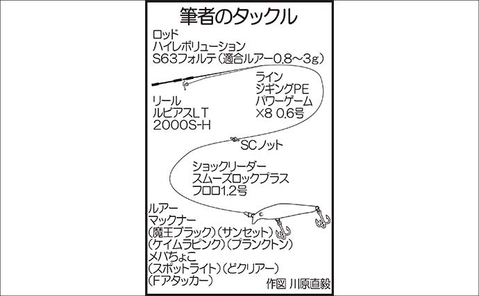 「陸っぱりメバリングで28cmメバル出た！」プラグルアーにヒット【広島】