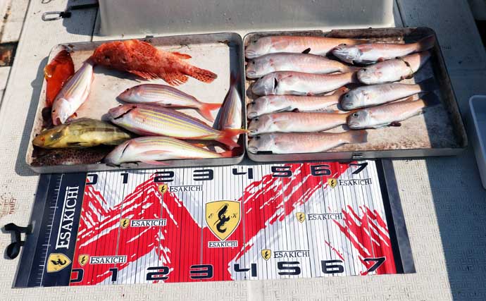 人気急上昇の「シロアマダイ釣り」入門　【タックル・釣り方・仕掛けを解説】