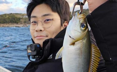 伝馬船の「カセ釣り」でイサキ2桁釣果【和歌山】釣った魚の握り寿司に舌鼓
