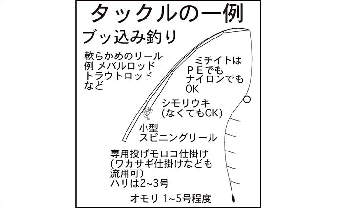 堤防ブッ込み釣りでアナゴ6匹手中【霞ヶ浦ふ頭・三重】サイズは小型ばかり