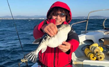 トラフグ釣る人3匹！カットウ釣りで朝の時合いに船中連発【船の釣果速報6…