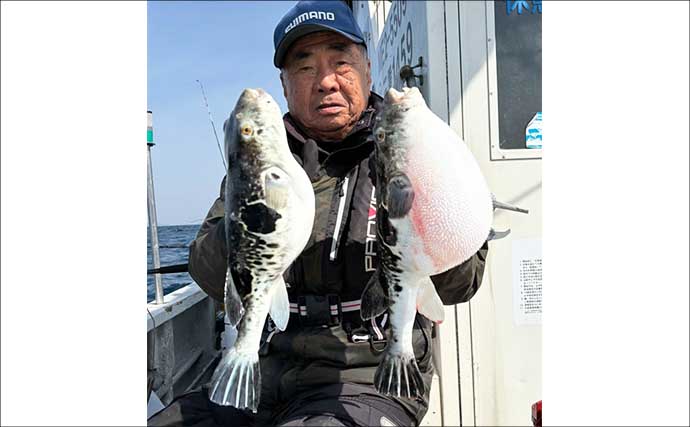 トラフグ釣る人3匹！カットウ釣りで朝の時合いに船中連発【船の釣果速報6選・三重】