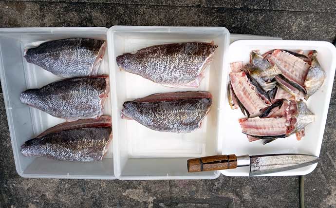 大山沖で35cmオーバー良型イサキが好ヒット！【武丸・愛知】トップは17匹