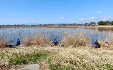 今週のピックアップ！ヘラブナ釣り場2026【群馬県・城沼】