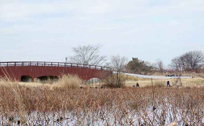 今週のピックアップ！ヘラブナ釣り場2026【群馬県・城沼】