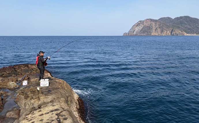 「南伊豆は魚影の濃さ抜群！」沖磯フカセ釣りで35cm級メジナを連打【静岡】