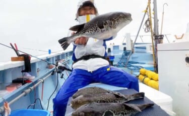 人気急上昇中の「東京湾トラフグ釣り」入門　【タックル・仕掛け・釣り方・…