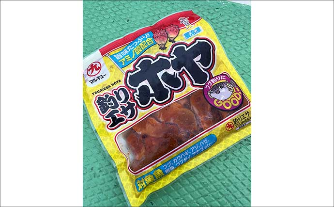 人気急上昇中の「東京湾トラフグ釣り」入門　【タックル・仕掛け・釣り方・注意点を解説】