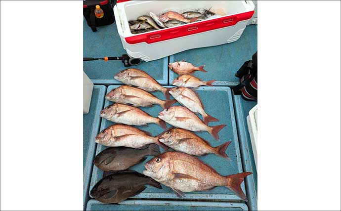 沖五目釣りでチカメキントキやアマダイなど多彩な美味魚が好反応【船釣り最新釣果16選】