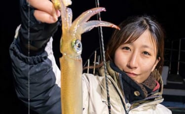 夜のイカメタル釣行でササイカ（ヤリイカ）120尾と大爆釣！【山口・剛龍…