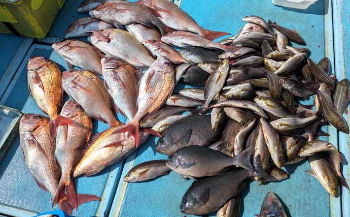 チカメキントキが船中100尾超え！沖五目釣り絶好調【船釣り釣果速報13選・福岡】