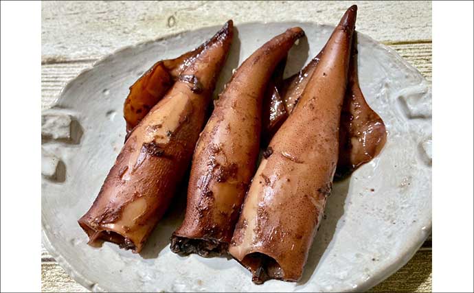 イカメタルでヤリイカで連発！ヒットは胴長30～40cm級の雄ばかり【長門沖・山口】