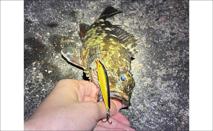 「春は小型ルアーで釣る！」だけでは通用しない　気づかれないリスクとは？