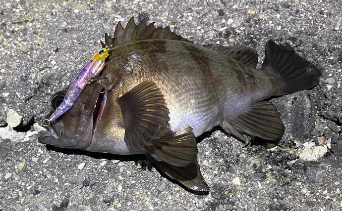 「春は小型ルアーで釣る！」だけでは通用しない　気づかれないリスクとは？