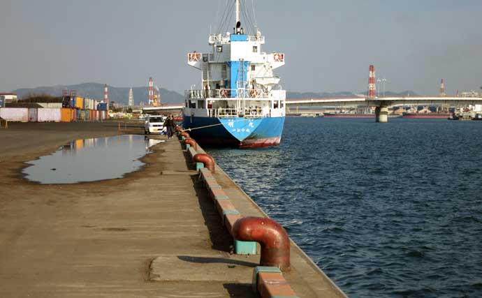 「これからがベストシーズン！」 スッテ＆エギングで狙うテナガダコ釣り