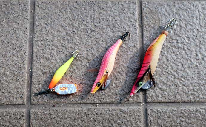 「これからがベストシーズン！」 スッテ＆エギングで狙うテナガダコ釣り