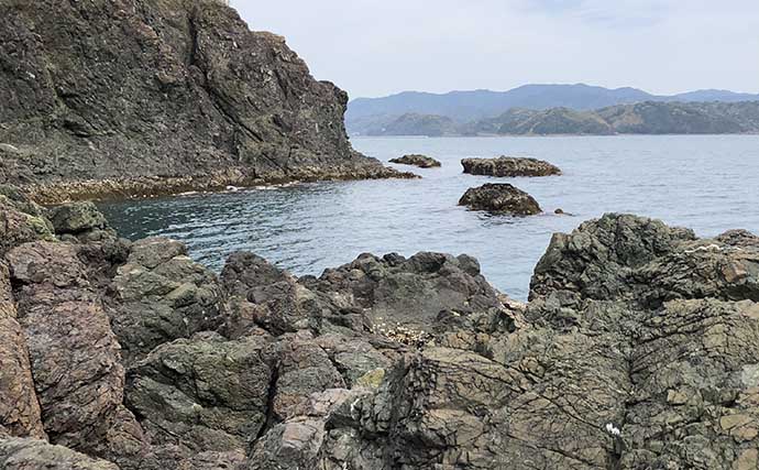 チヌの聖地で乗っ込み開始！刺しエサローテーション的中で本命連発【湯浅・和歌山】