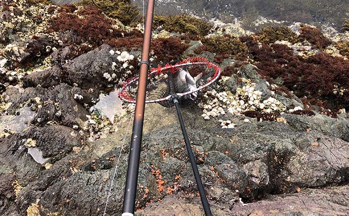 チヌの聖地で乗っ込み開始！刺しエサローテーション的中で本命連発【湯浅・和歌山】