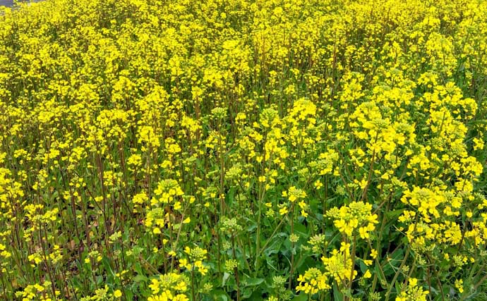 「中途半端なマッチザベイトはダメ？」 高難度の春のシーバスゲームで貴重な1匹を手中