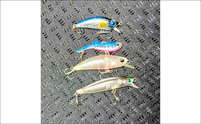 「中途半端なマッチザベイトはダメ？」 高難度の春のシーバスゲームで貴重な1匹を手中