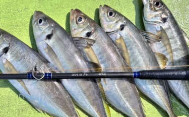 高コスパロッドで東京湾ブランドアジを狙い撃つ【関義丸】速潮の中での正確…
