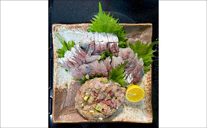 高コスパロッドで東京湾ブランドアジを狙い撃つ【関義丸】速潮の中での正確なタナ取りが重要