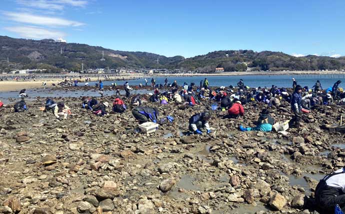 『前島』での潮干狩りで良型アサリと対面【愛知】岩場エリアを中心に探す