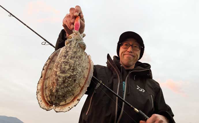 春のコウイカエギングシーズン開幕！【京都府】良型交じりで本命複数安打達成