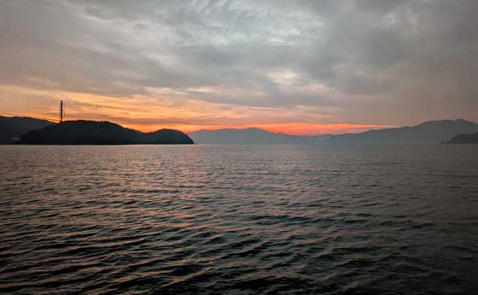 春のコウイカエギングシーズン開幕！【京都府】良型交じりで本命複数安打達成