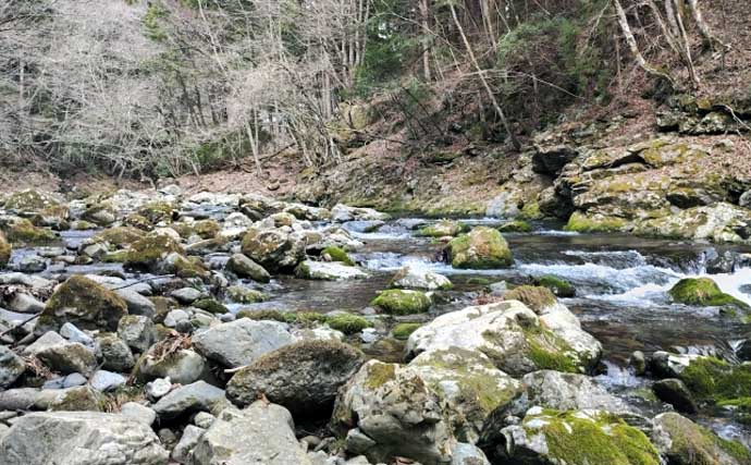 「エサの活きの良さが釣果に直結！」採集した【川虫の管理方法】を徹底解説