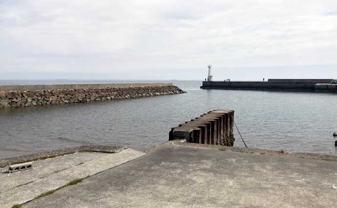 船での「ワカメ狩り」体験が面白い＆美味しい！　箕田消波ブロック帯で旬のワカメをGET