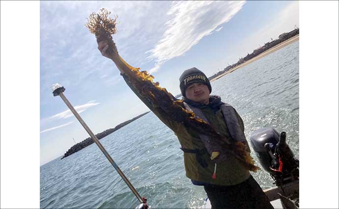 船での「ワカメ狩り」体験が面白い＆美味しい！　箕田消波ブロック帯で旬のワカメをGET
